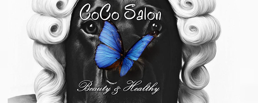 Heart2 Dog サロンのイメージ画像
Beauty&Healthy