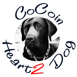 CoCoinのイメージ画像